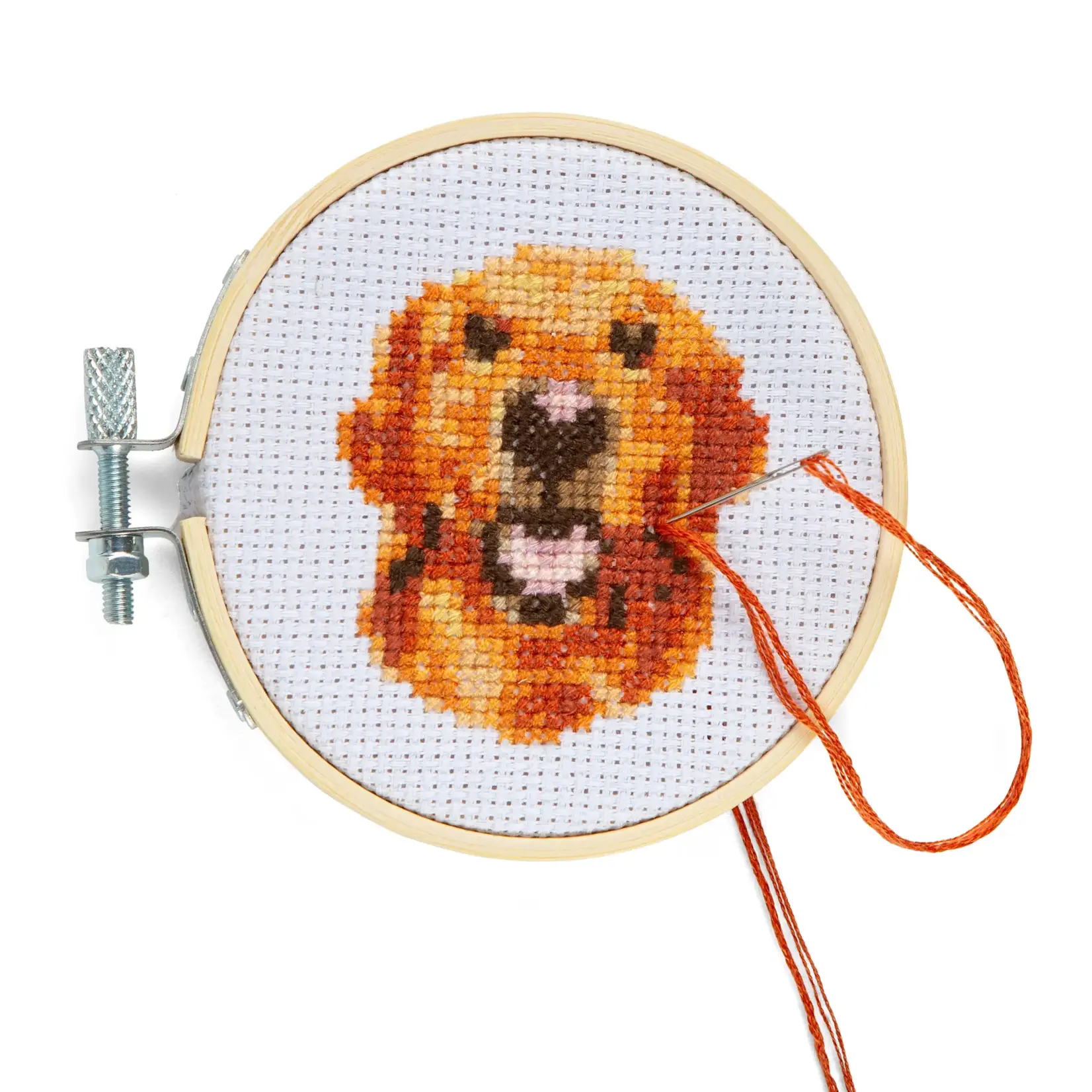 Mini embroidery kit - Golden Retriever