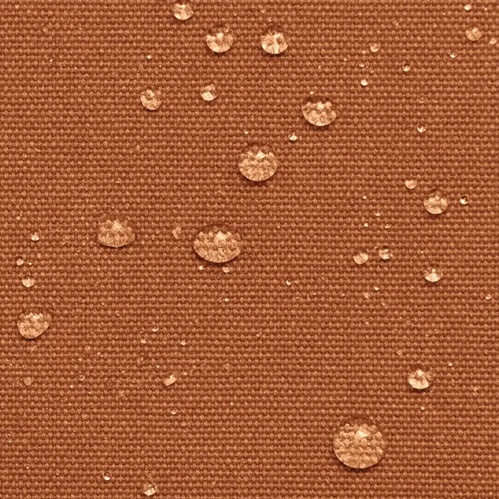 Siena Guillaume Backpack