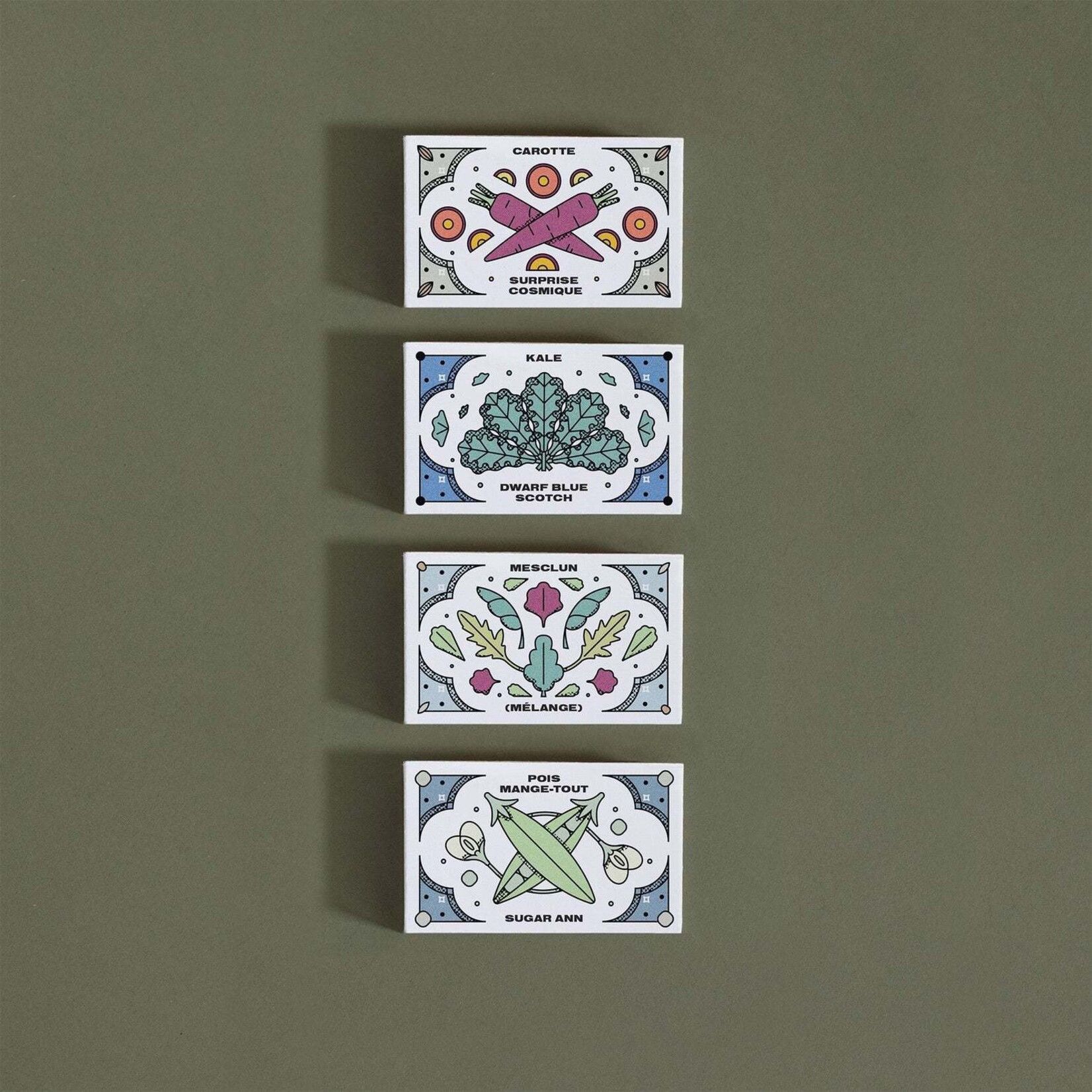 Seed box – Semi-shaded garden