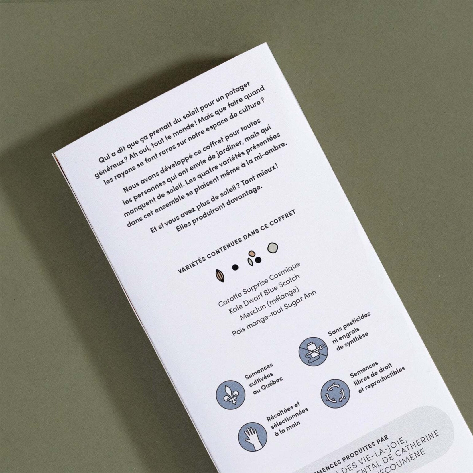 Seed box – Semi-shaded garden