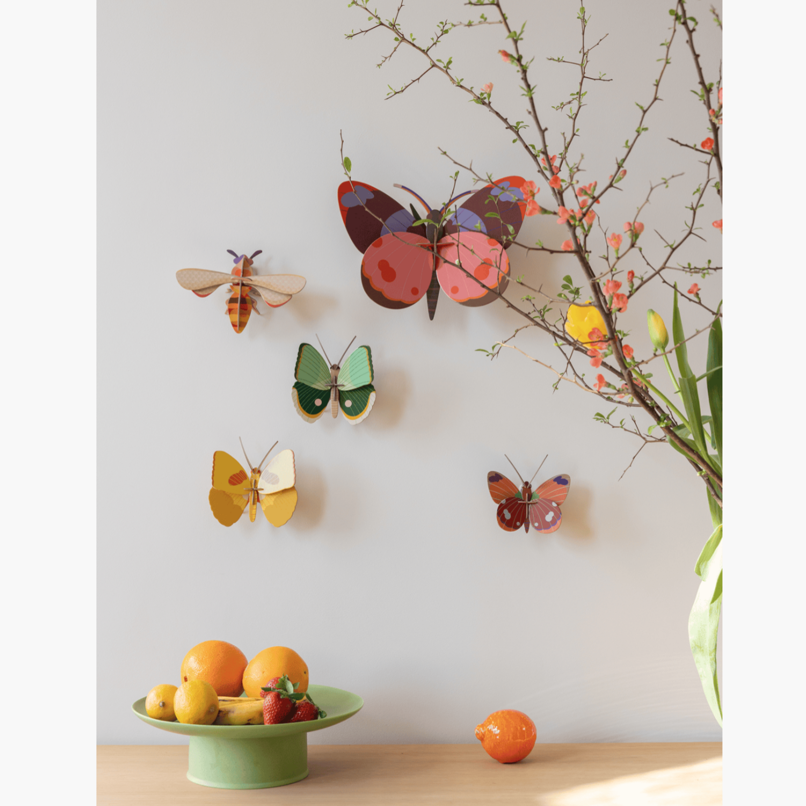 Insecte 3D - Papillon Delias