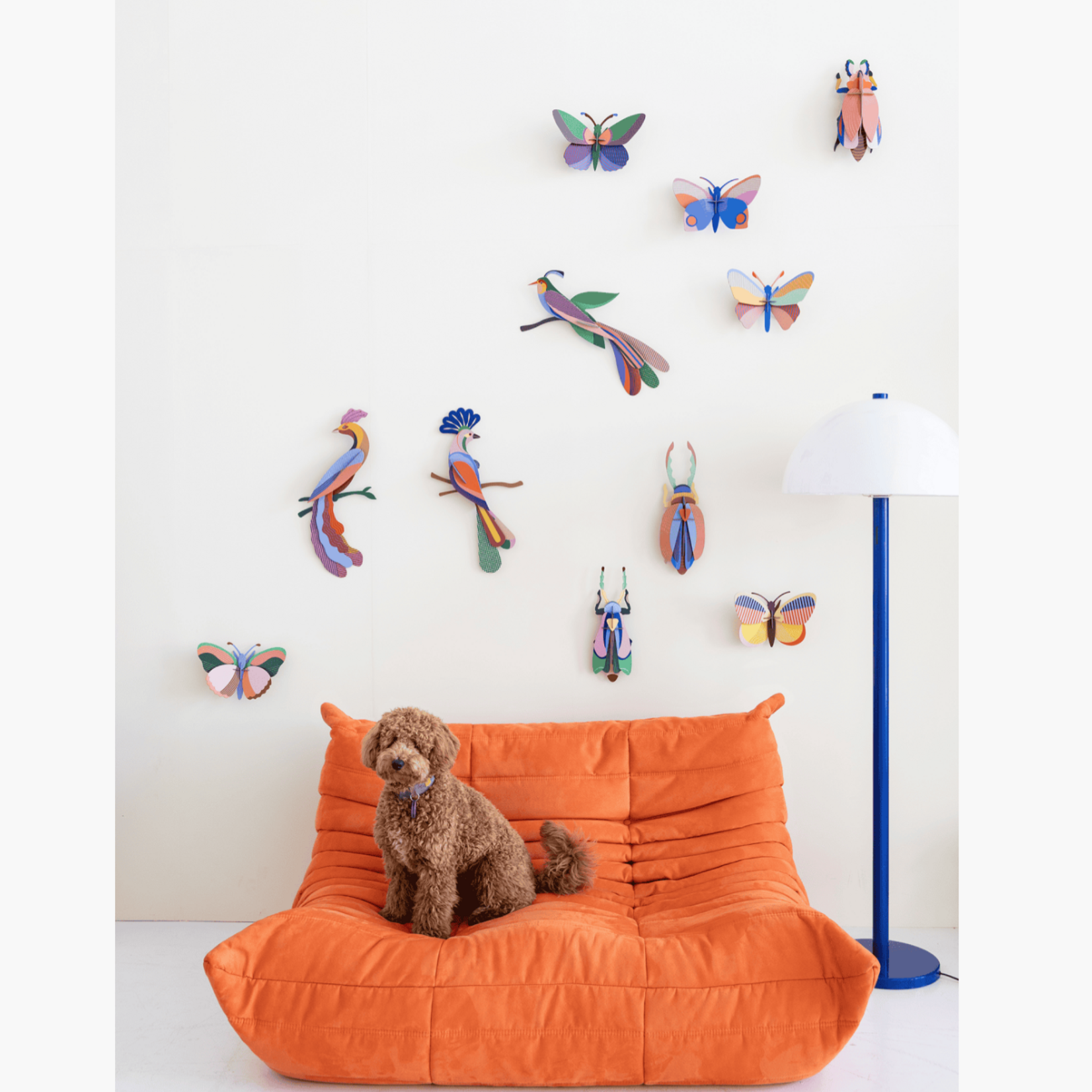 3D Kit - Large Sycamore Butterfly