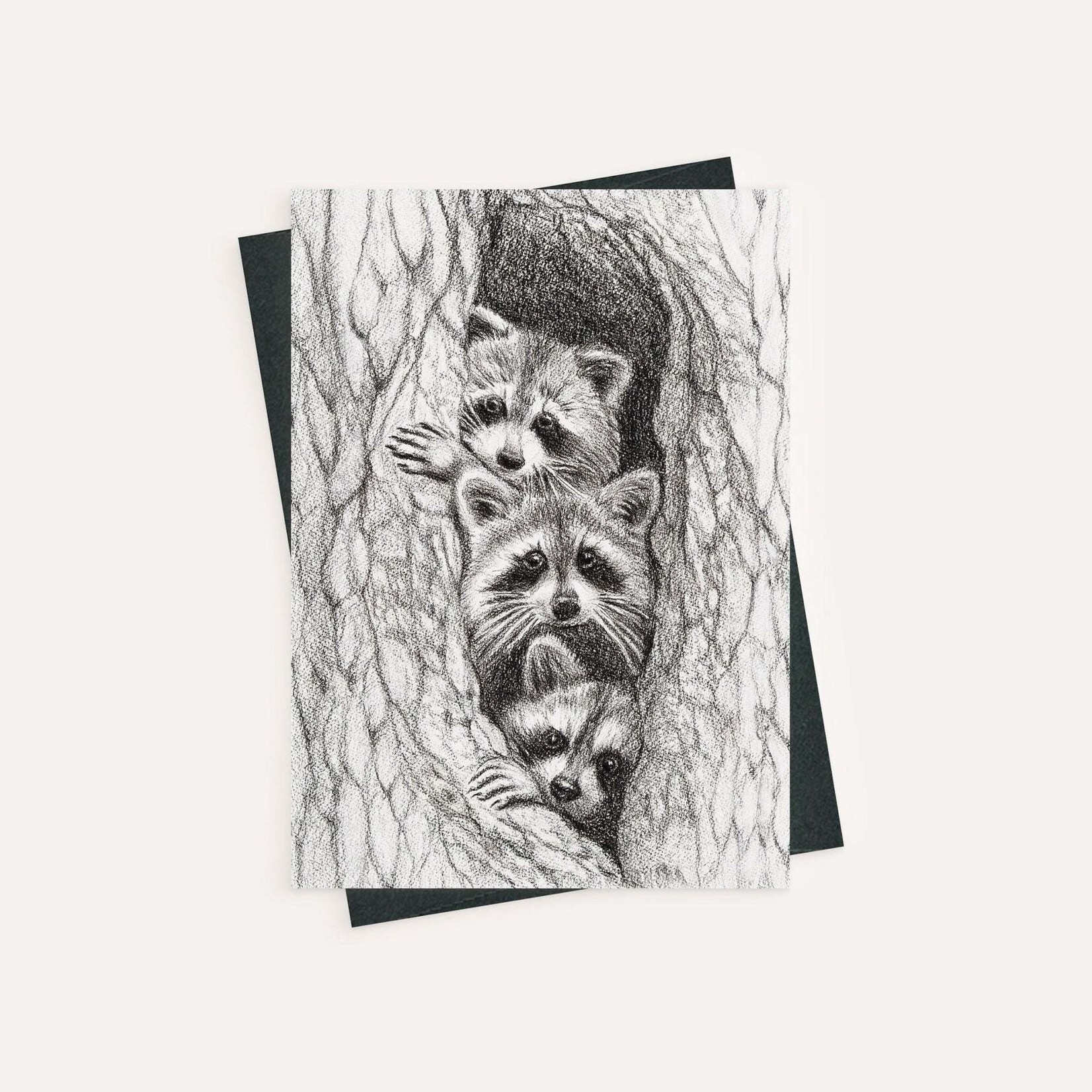 Greeting card- Three raccoons