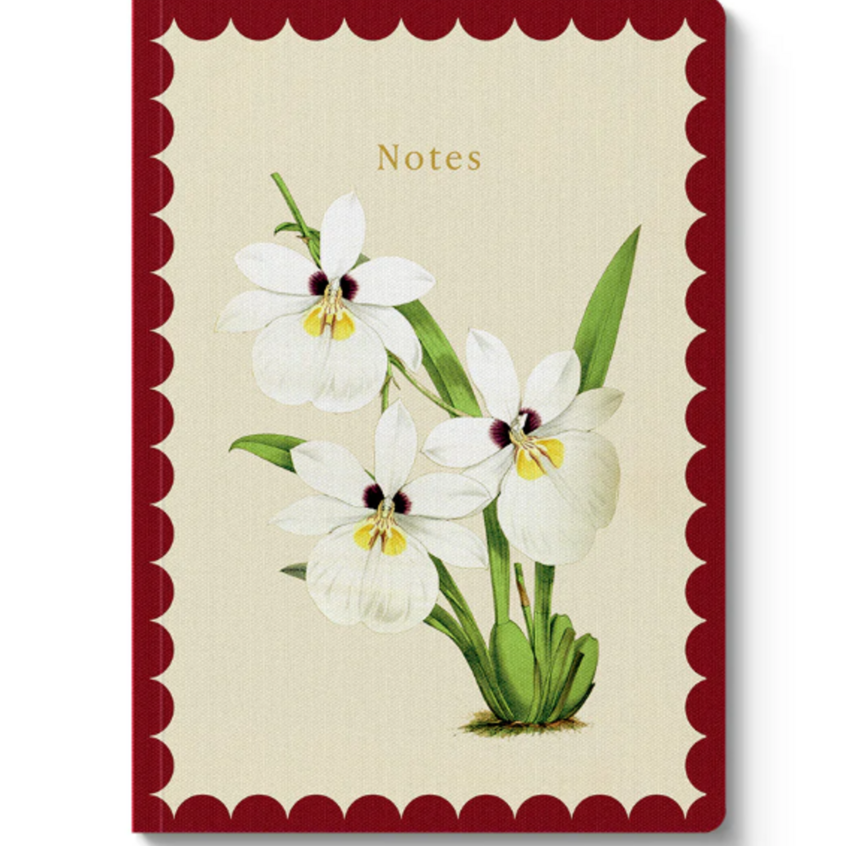 Orchid Flower Notebook