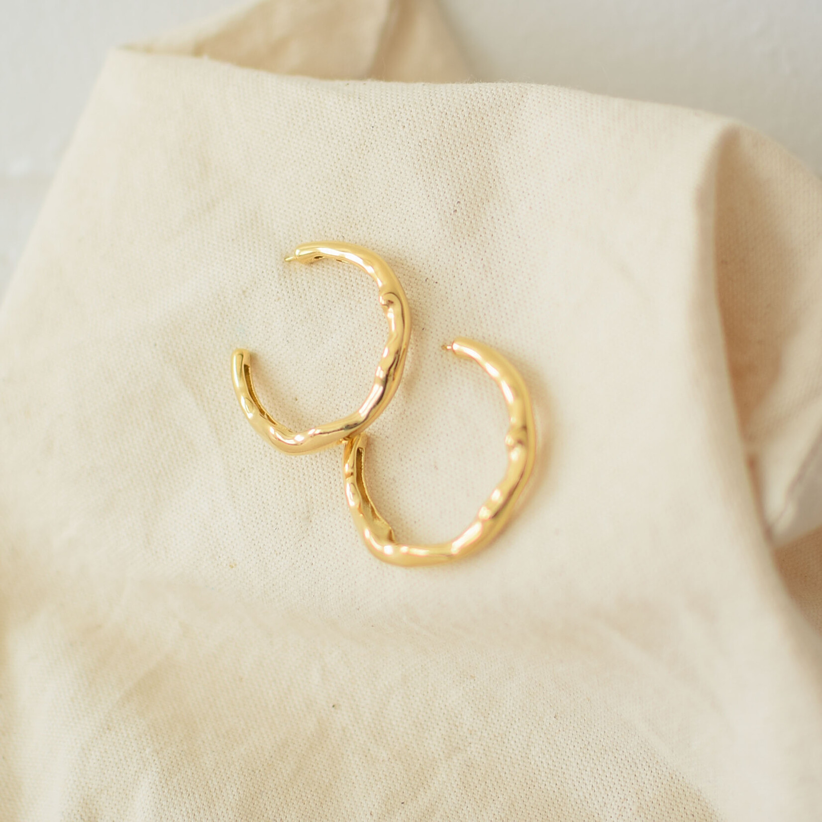 Organic Shapes Earrings