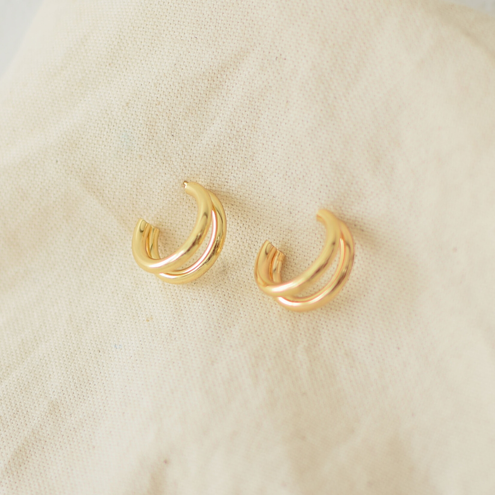 Double Ring Earrings (Stainless Steel)