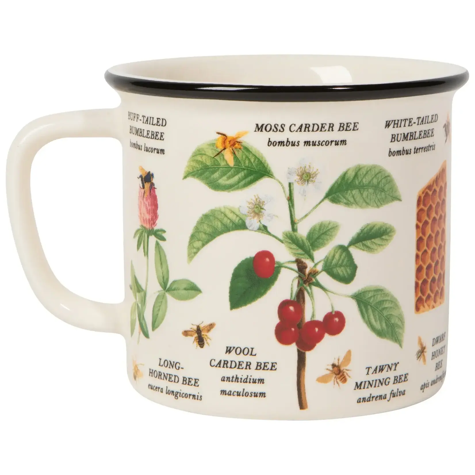Mug - Bee varieties
