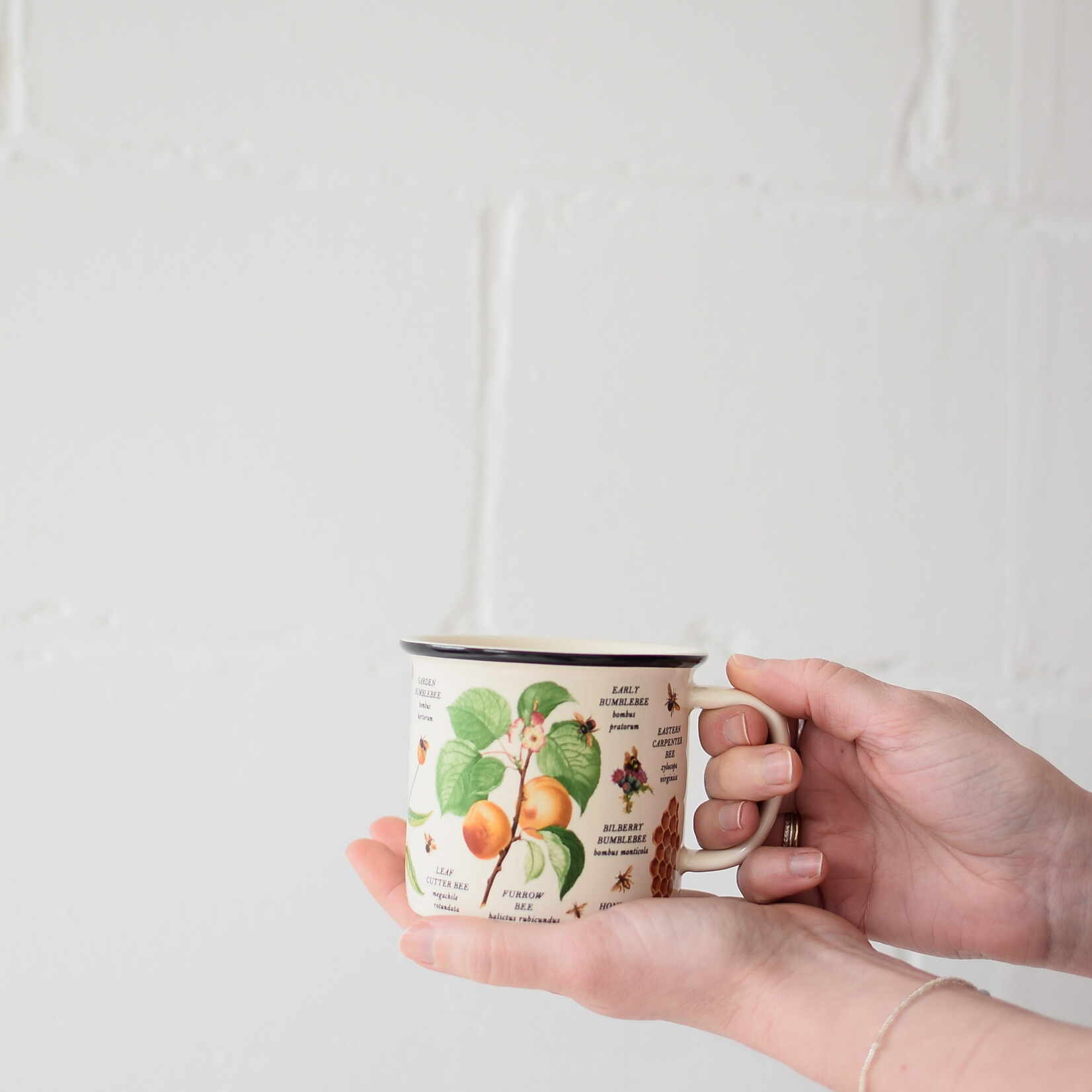 Tasse - Variétés d'abeilles