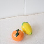 Salt and Pepper Shaker Set - Citrus fruits