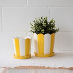 Scalloped pot and base - Yellow stripes (2 sizes)