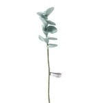 Fleur en laine Eucalyptus clair