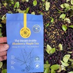 Thé Bleuet érable