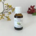 Dot & Lil Laundry Fragrance and Diffuser - Mimosa & Nectarine