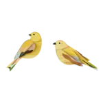 Kit 3D - Duo Passereaux