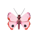 3D Kit - Rosora Butterfly