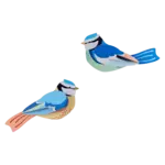 Kit 3D - Duo Mésanges bleues