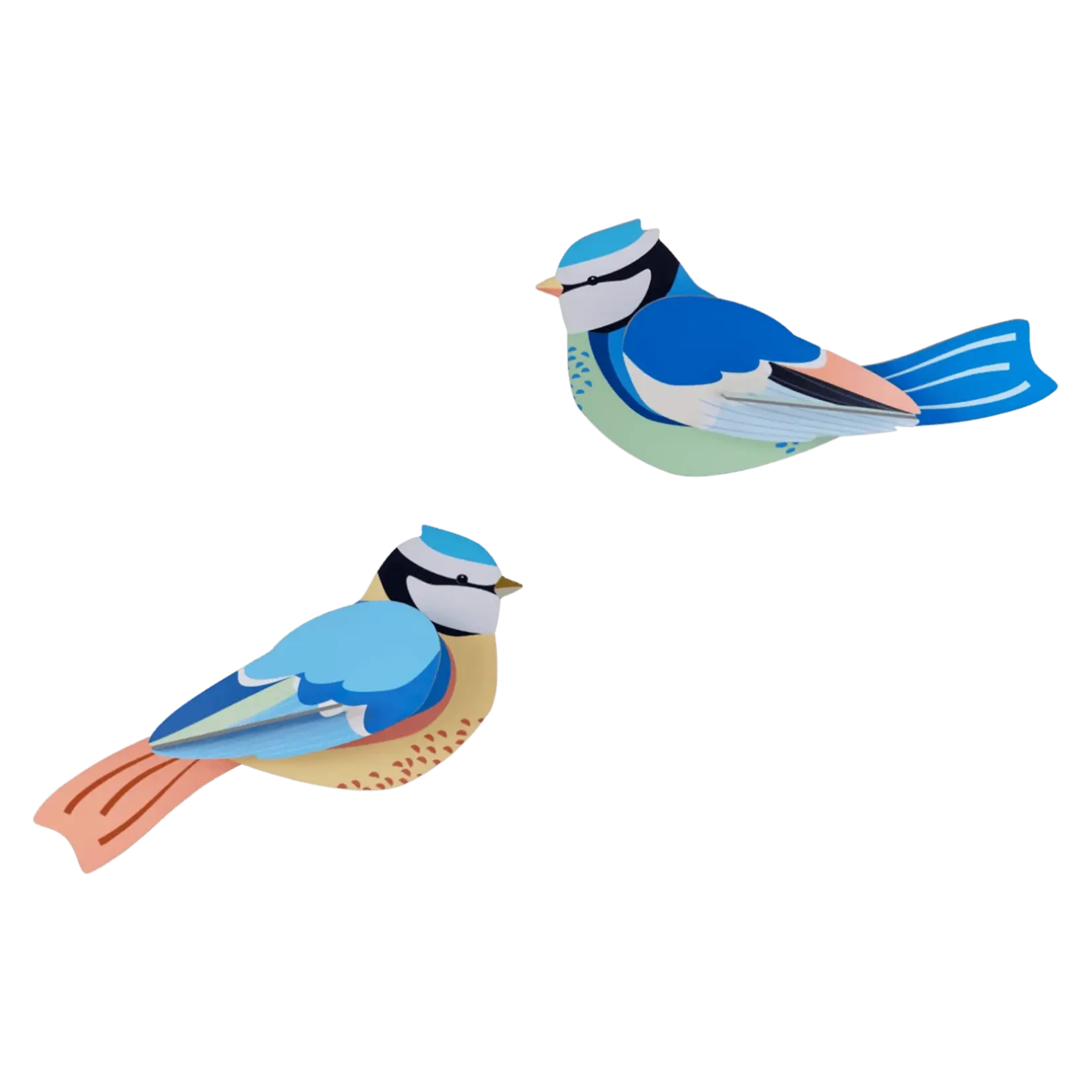 3D Kit - Blue Tit Duo
