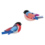 3D Kit - Finch Duo