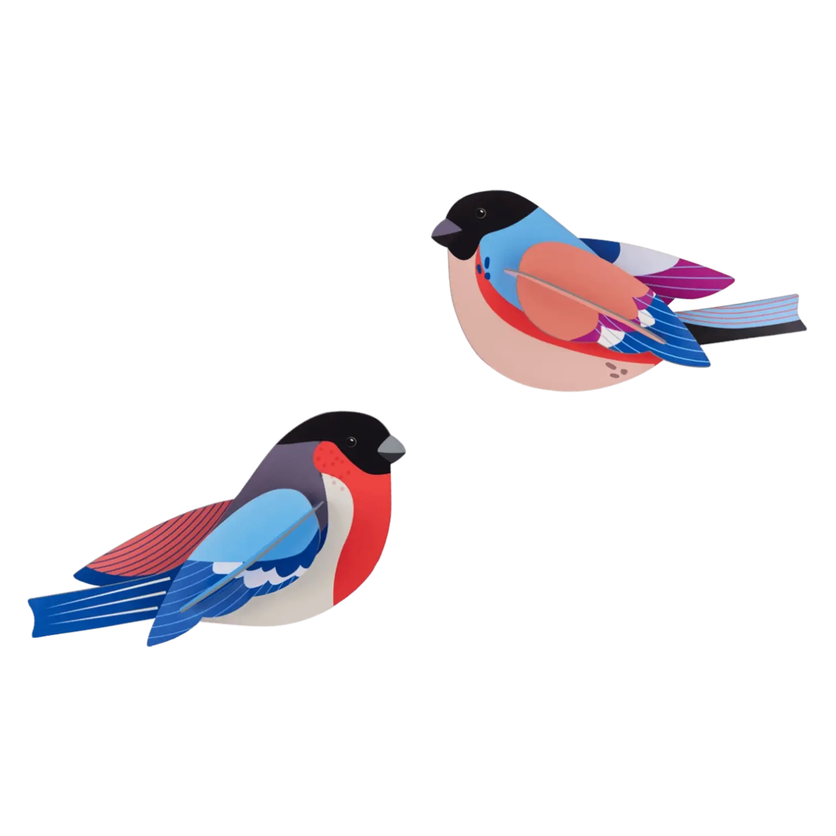 3D Kit - Finch Duo
