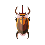 3D Kit - Elephant Beetle