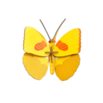 Kit 3D - Papillon jaune