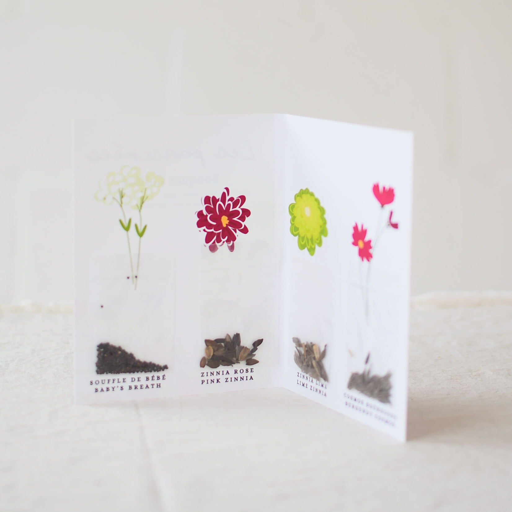 Semences Bouquet - Colibri