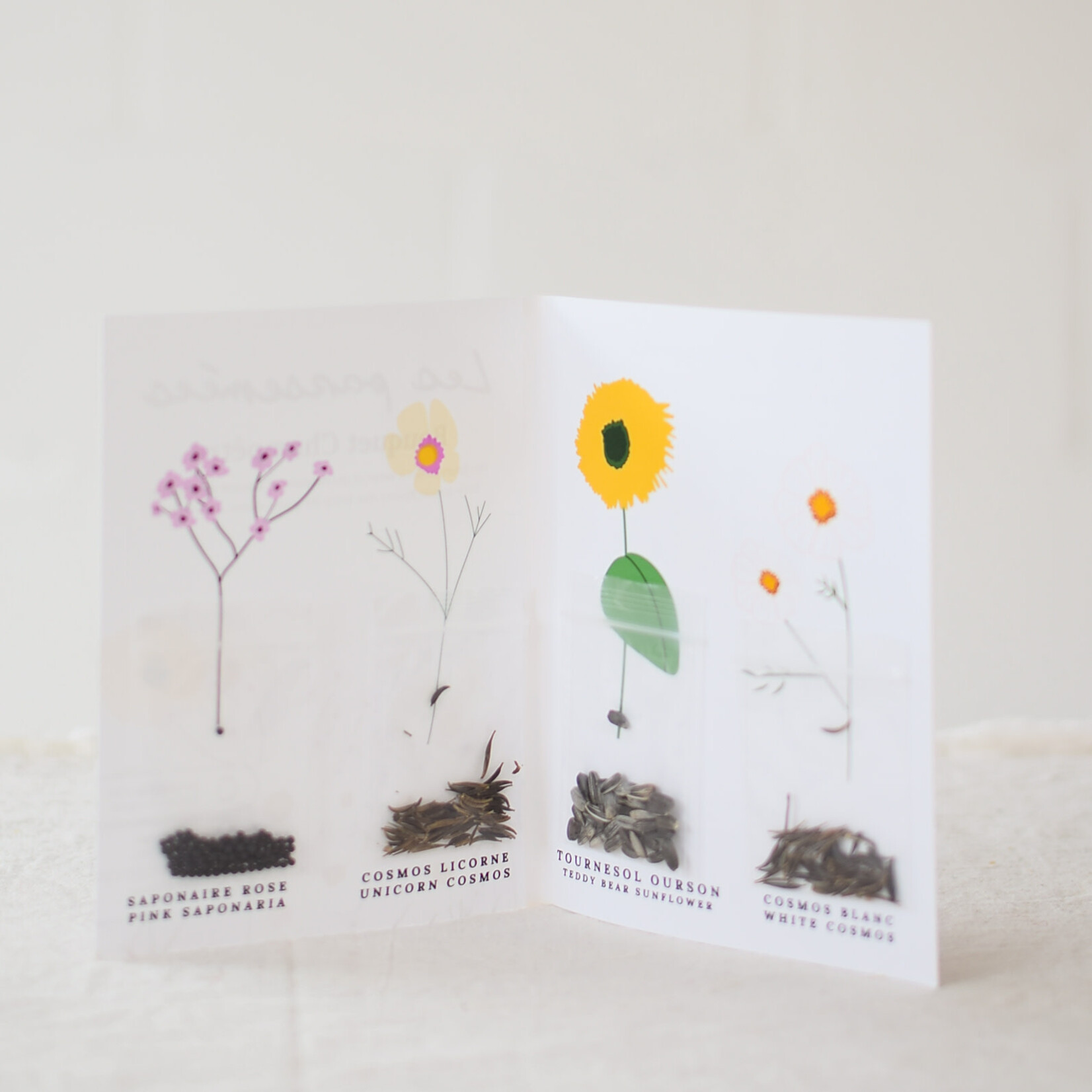 Bouquet Seeds - Rural