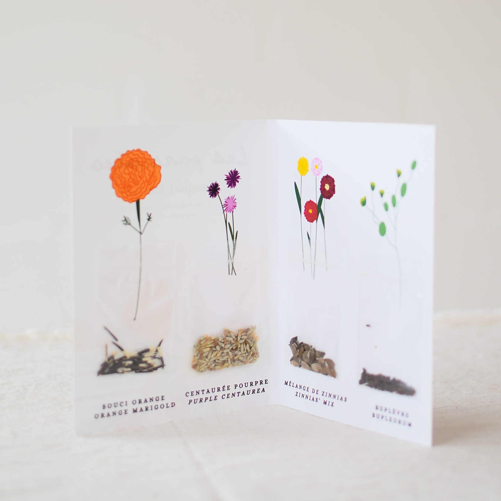 Bouquet Seeds - Balcony