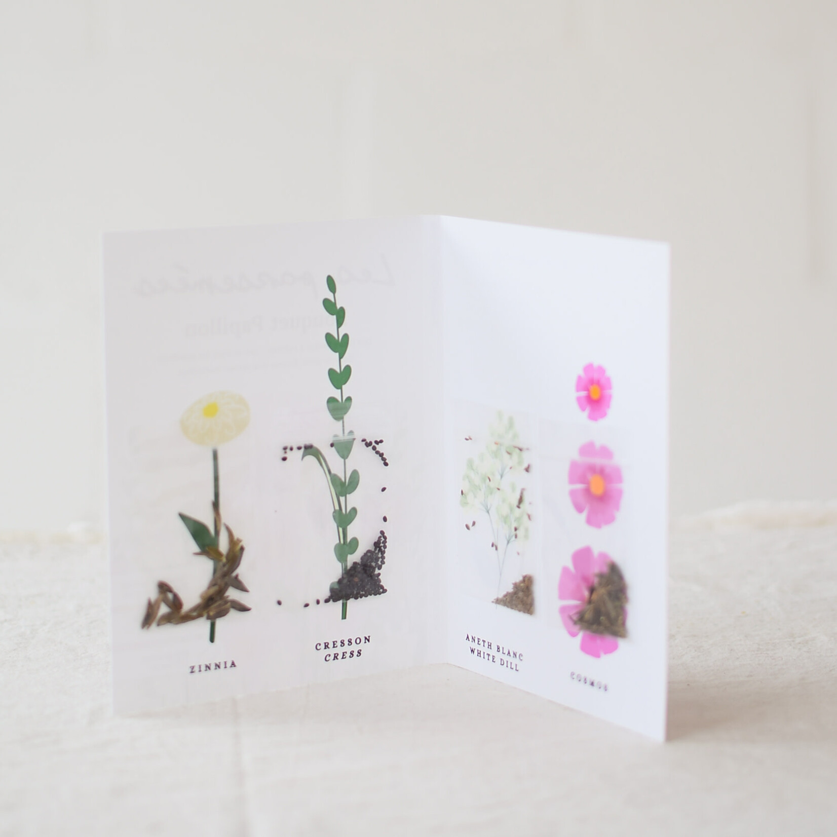 Bouquet Seeds - Butterfly