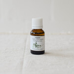 Dot & Lil Laundry Fragrance and Diffuser - Eucalyptus & Lime