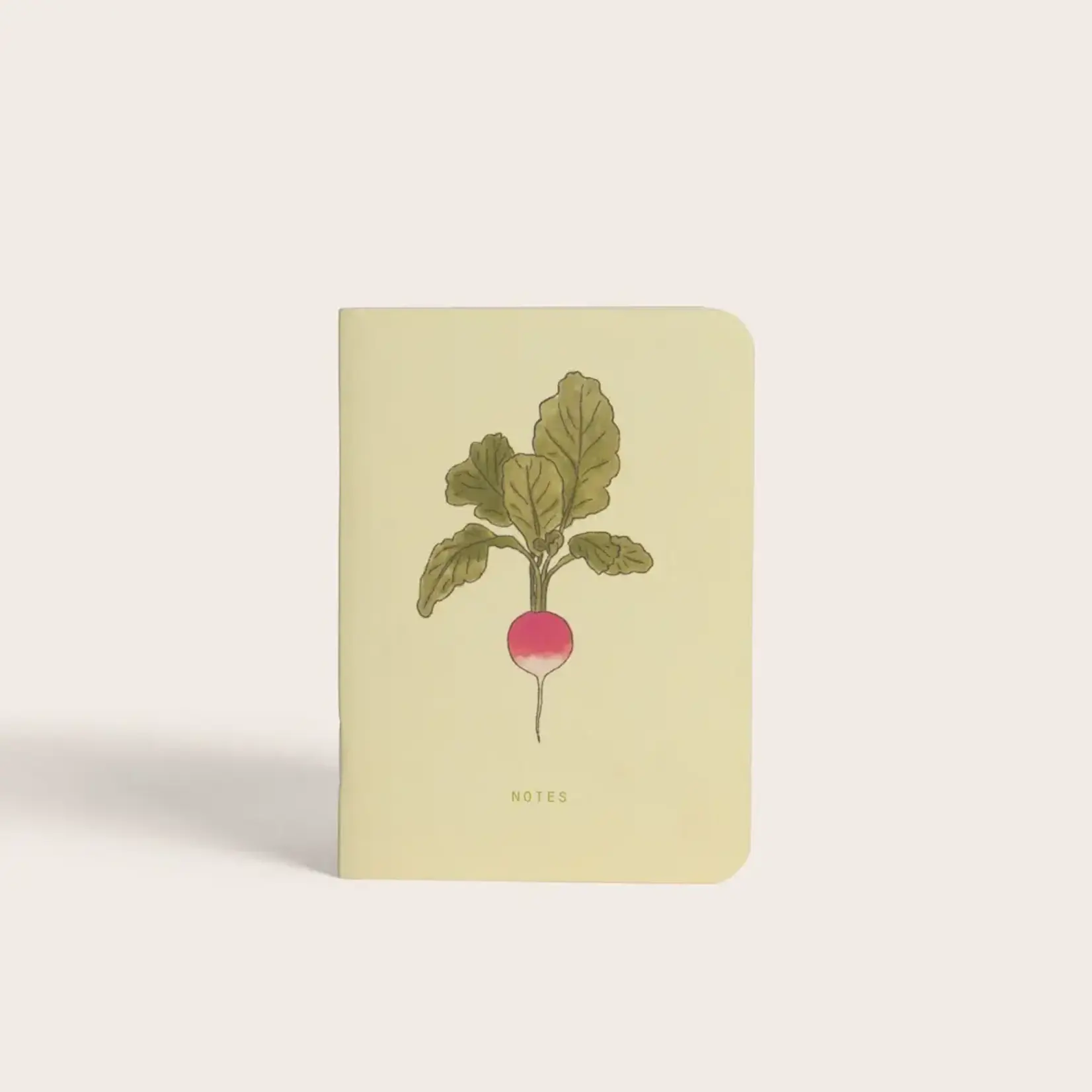 Carnet poche Radis