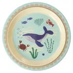 Melamine plate