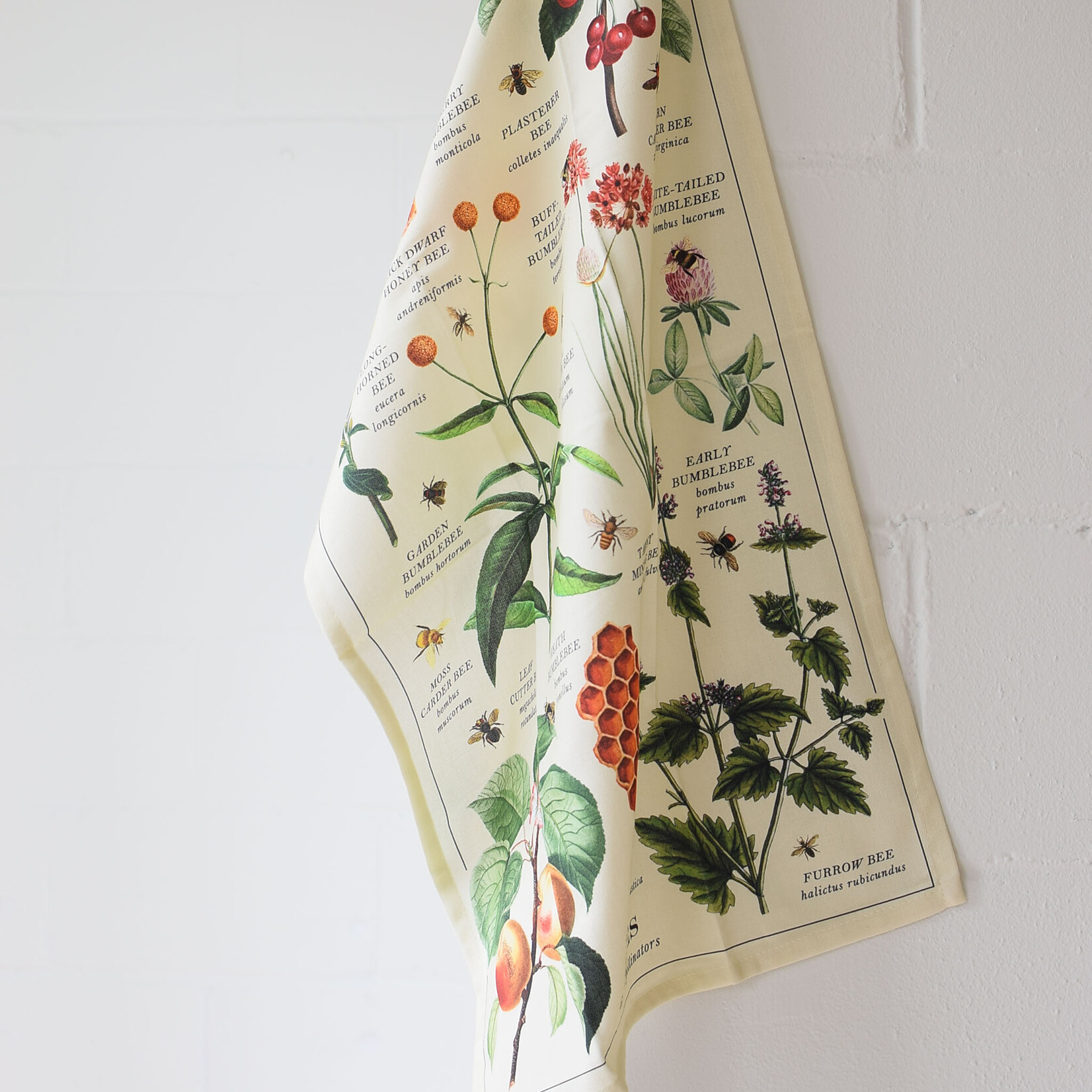 Linge à vaisselle - Variétés d'Abeilles