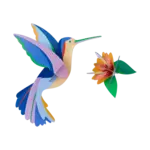 Kit 3D - Colibri du paradis