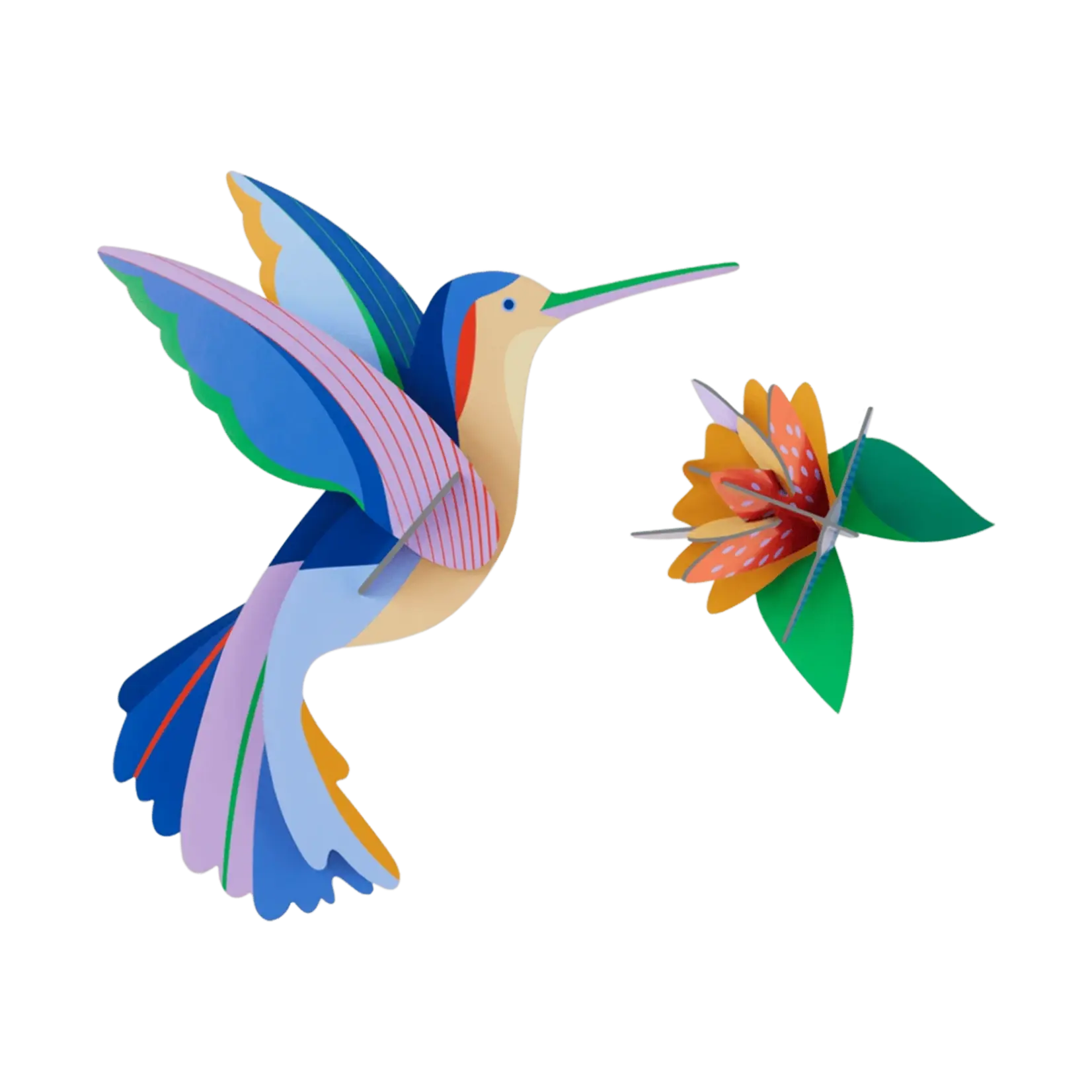 3D Kit - Hummingbird