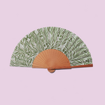 A fan of Mediterranean Fan