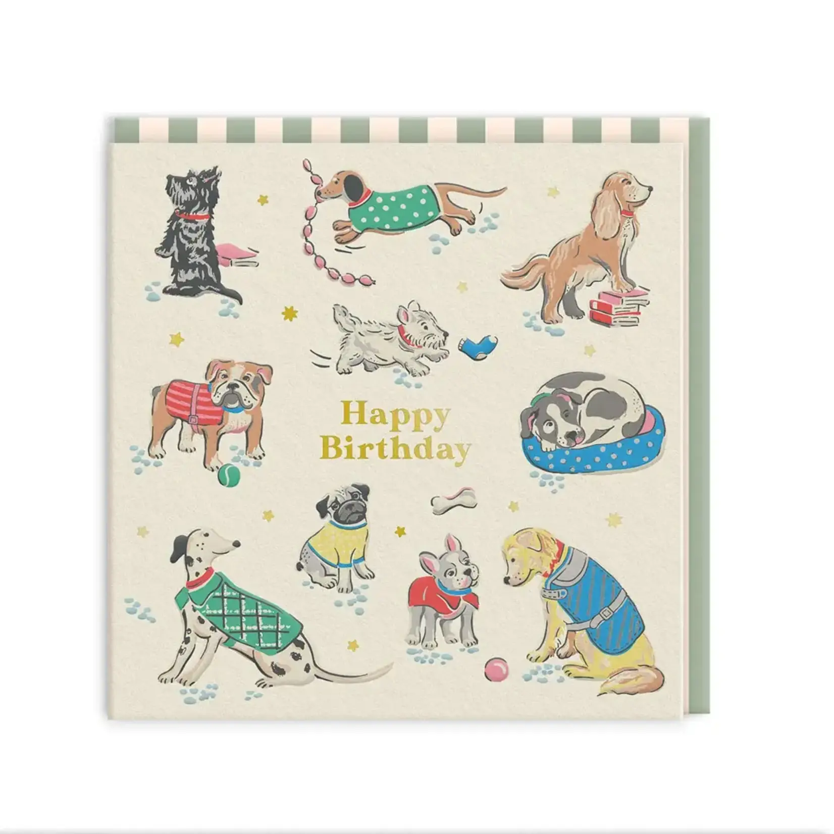 Carte de Souhaits Mini - Chiens