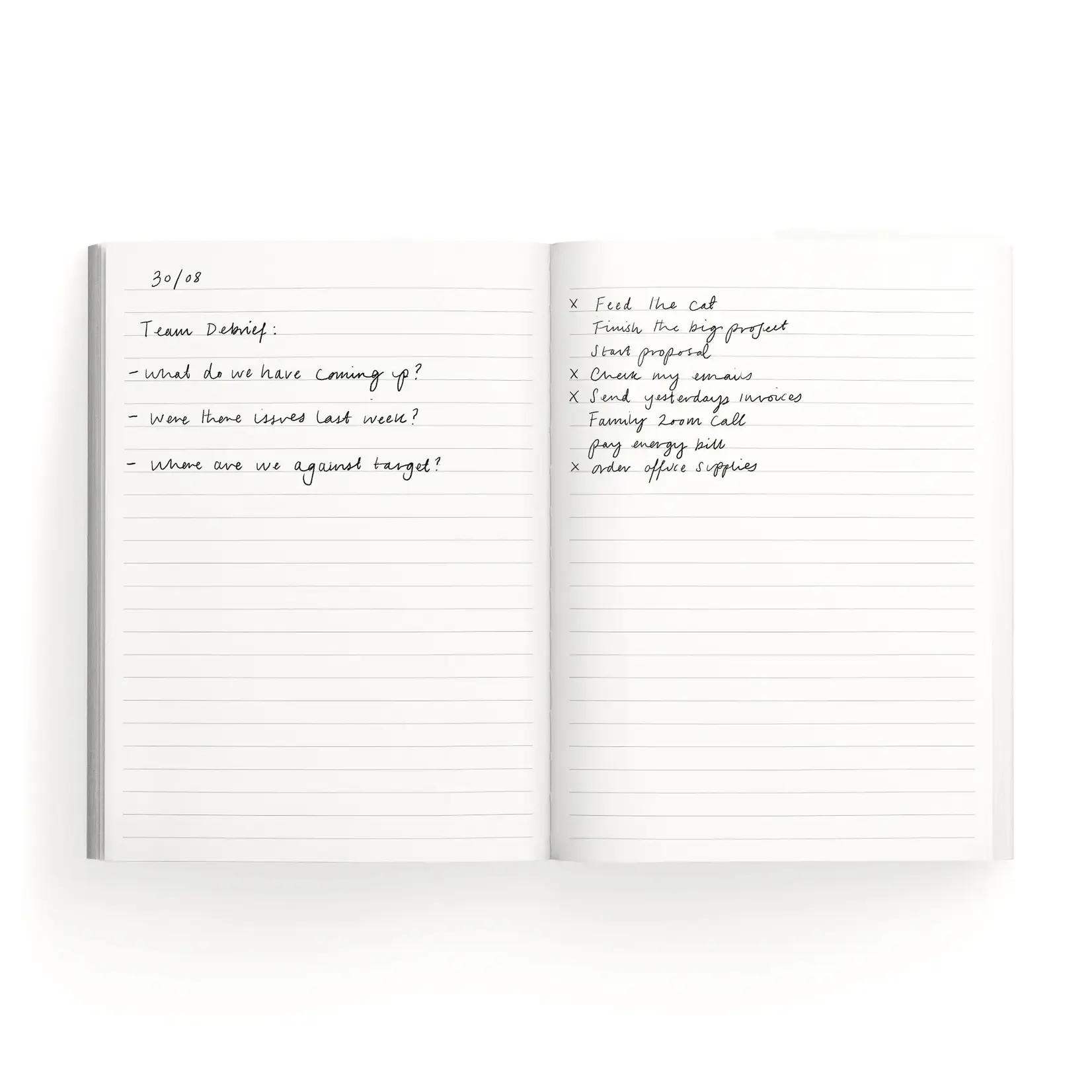 Pocket Notebook - Cat Outside the Box