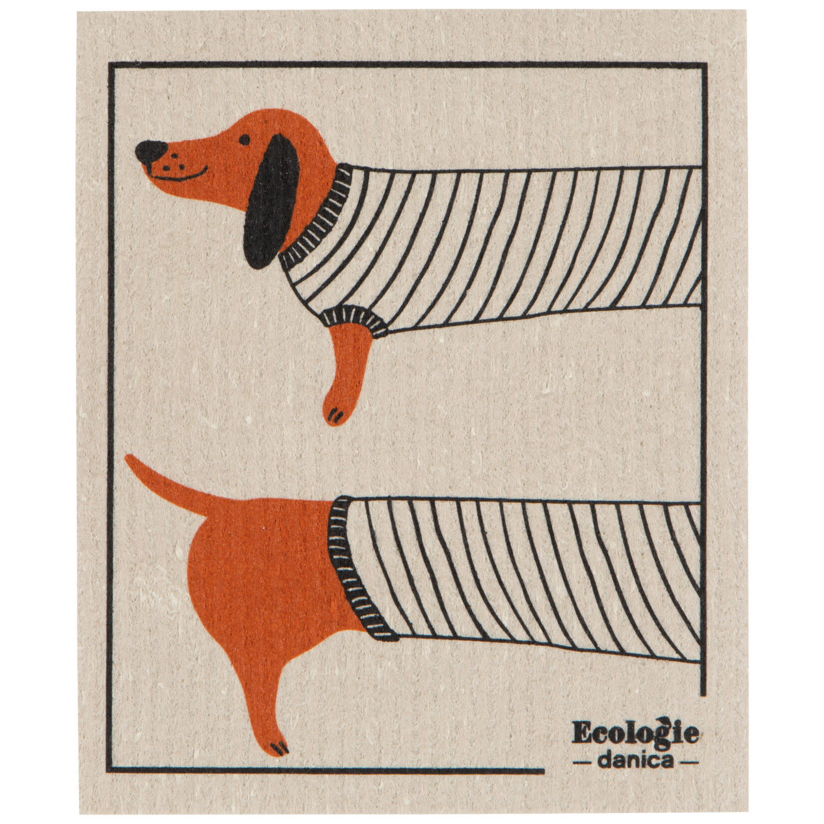 Lingette Suédoise - Dachshund