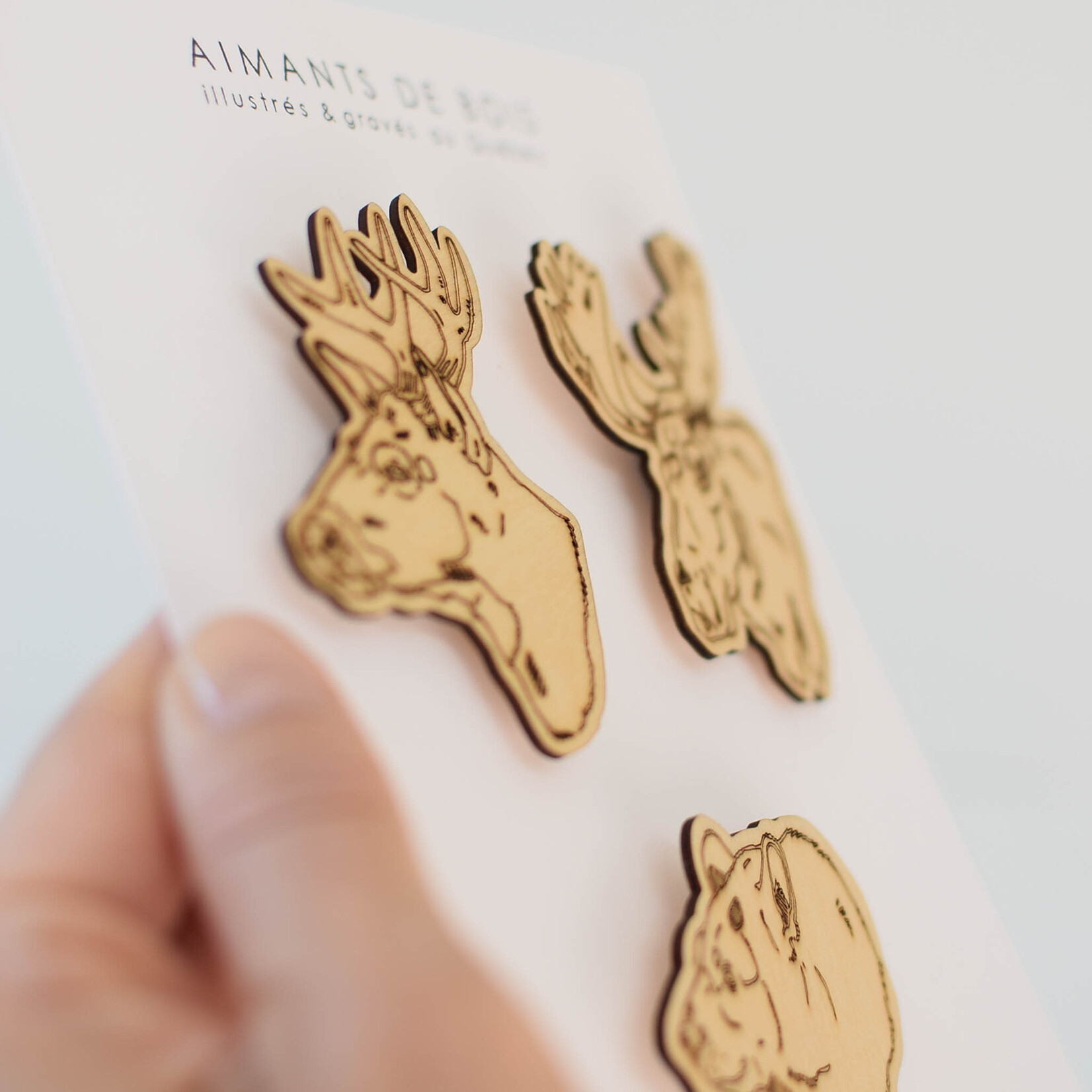 Retour à la Terre Wood Magnets - Animals x5