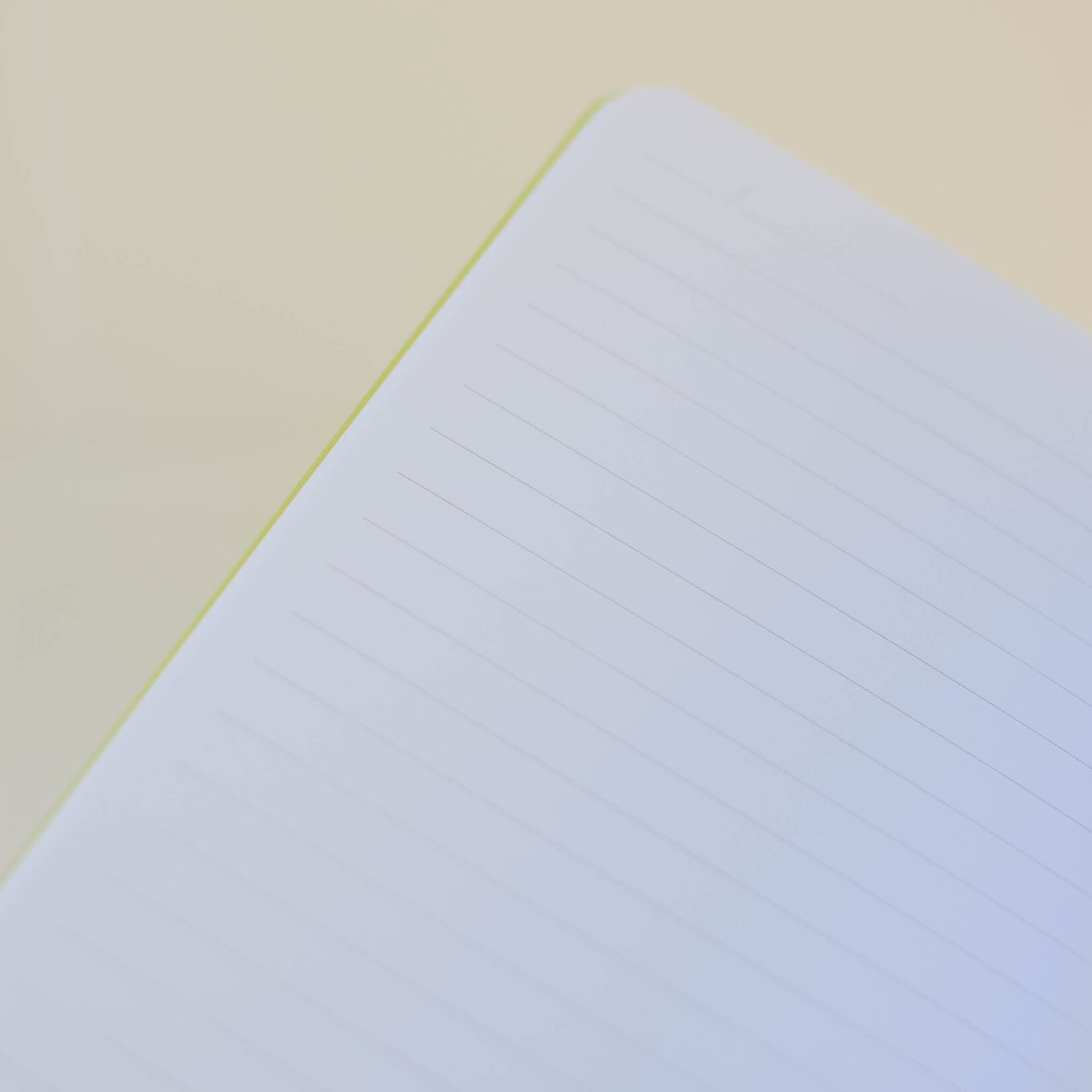 Pocket Notebook - Cat Outside the Box