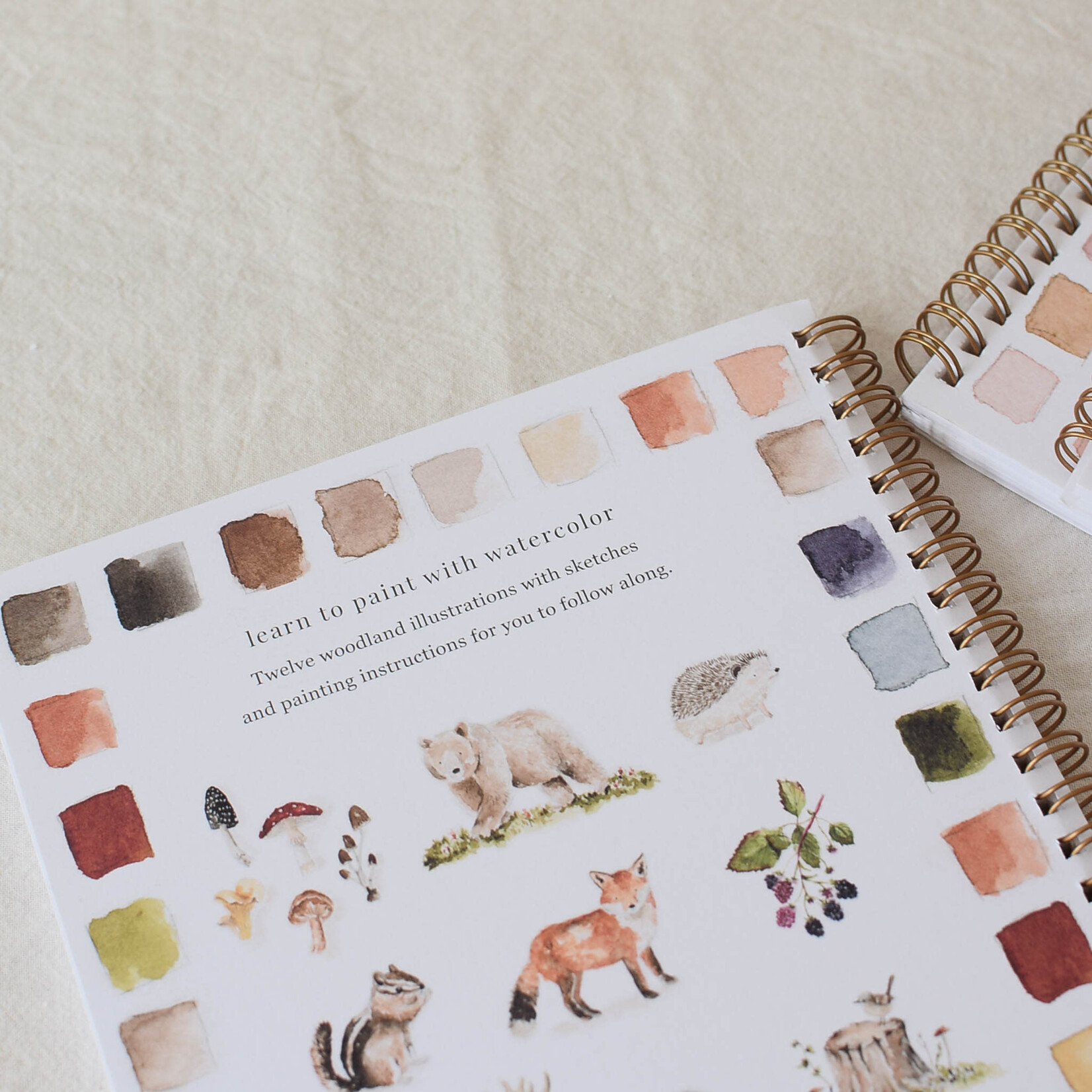 Emily Lex Studio Cahier d'aquarelle Forêt
