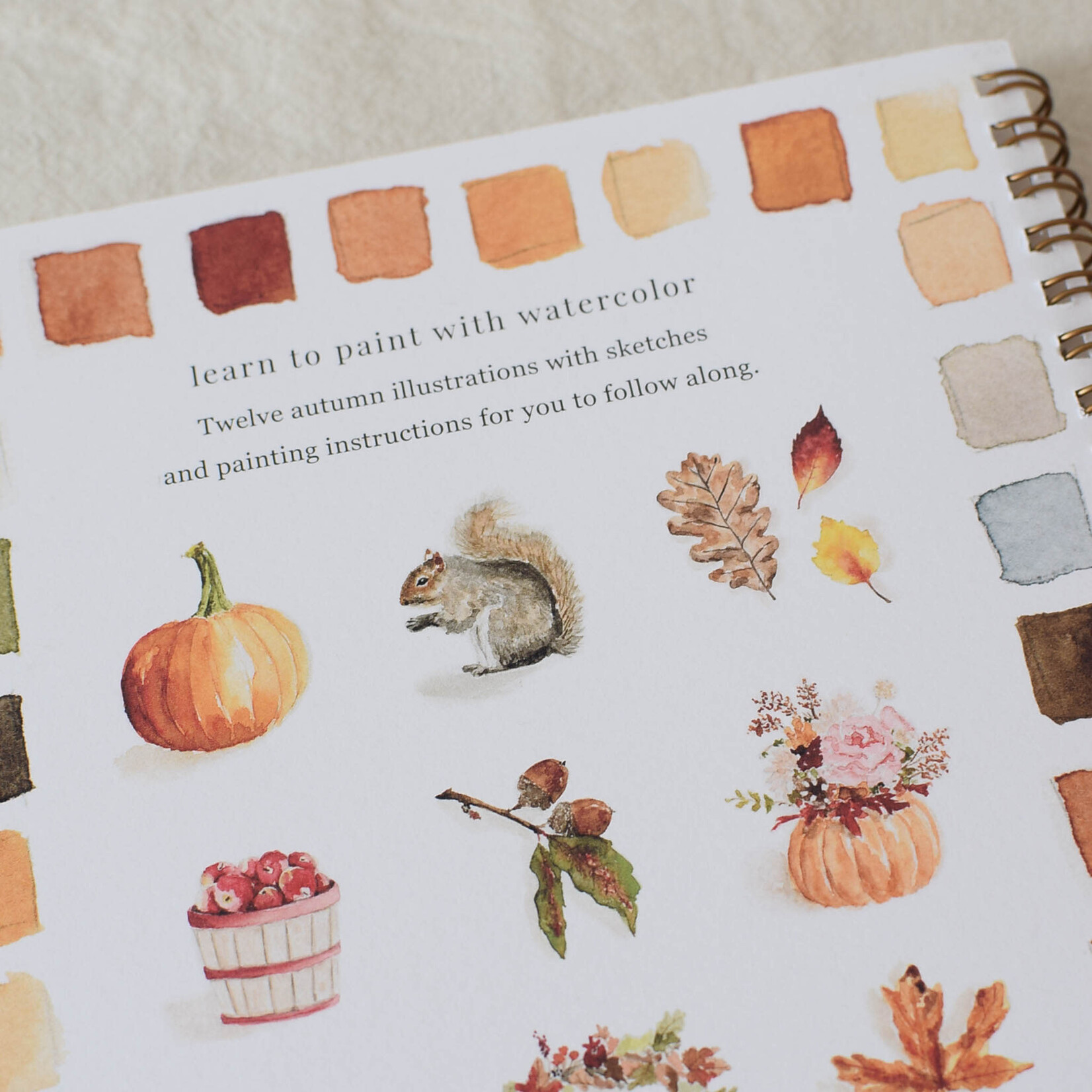 Emily Lex Studio Cahier d'aquarelle Automne