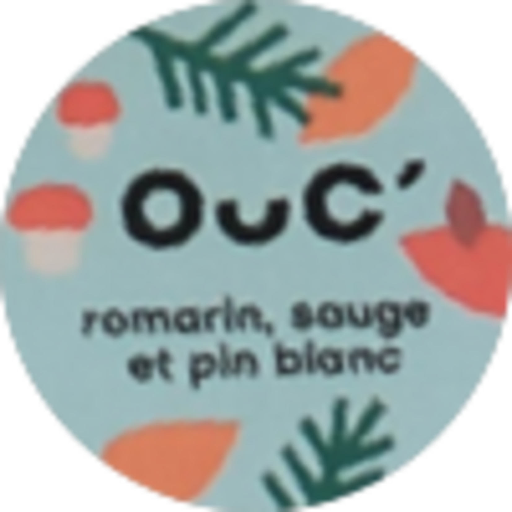 Bougie Romarin - Sauge - Pin blanc