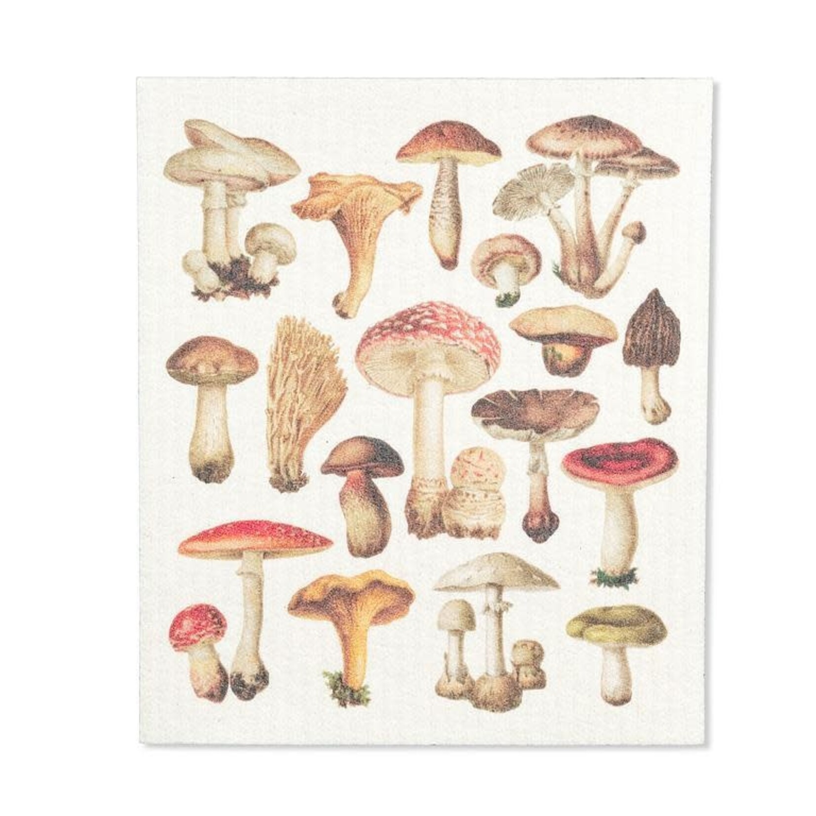 Lingette suédoise  Champignons aquarelle