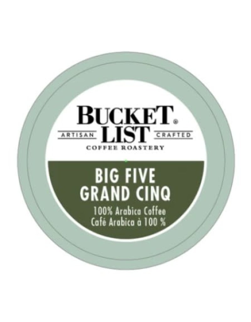 Bucket List Bucket List Big Five single