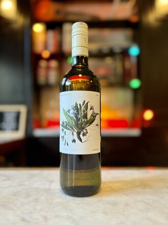 Marta Valpiani, 'Delyus' (2024)