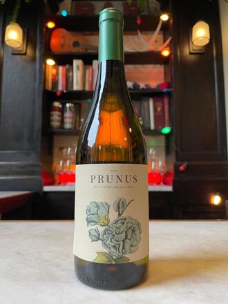 Gota Wine Gota, 'Prunus'  Dão Branco (2022)