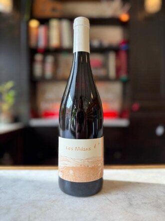 Marie & Vincent Tricot, 'Les Milans' (2024)