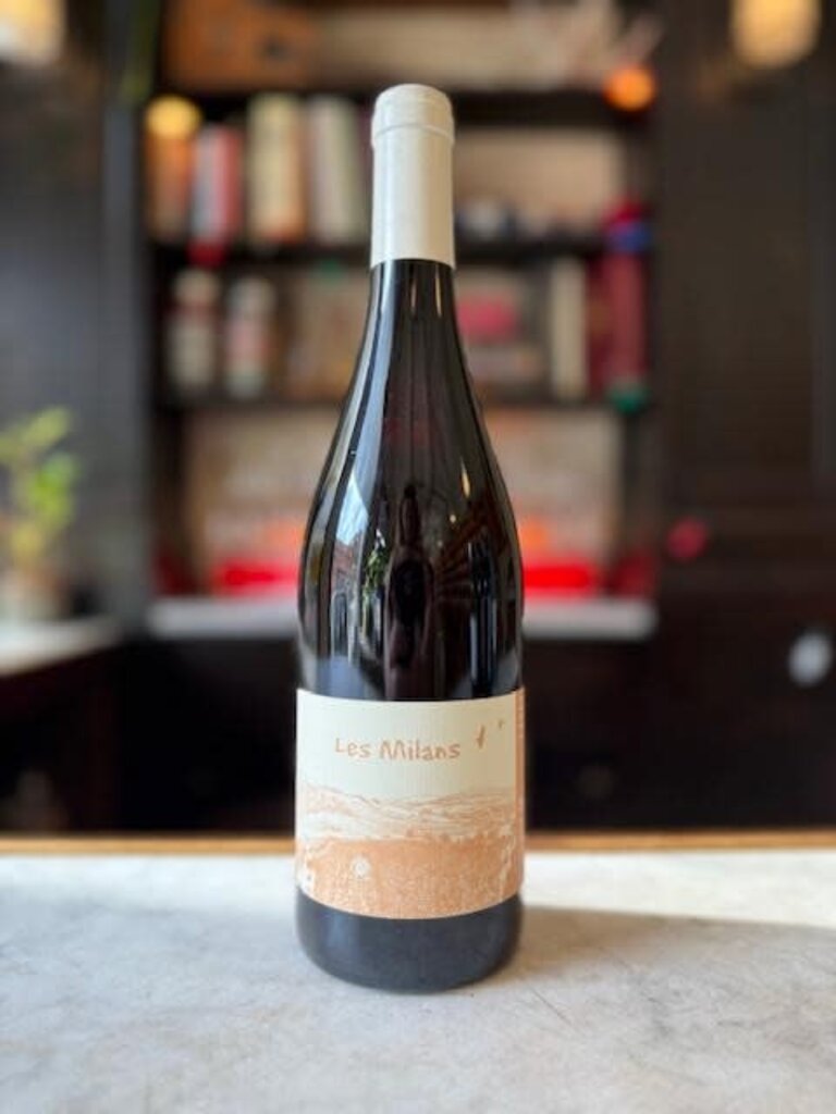 Marie & Vincent Tricot, 'Les Milans' (2024)